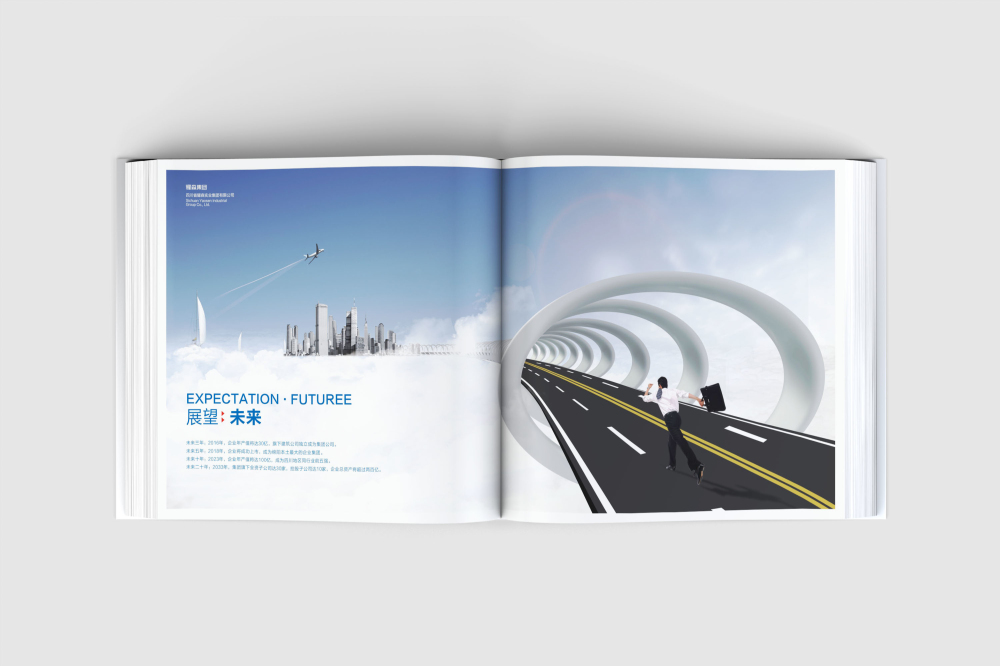 迎泽区画册设计